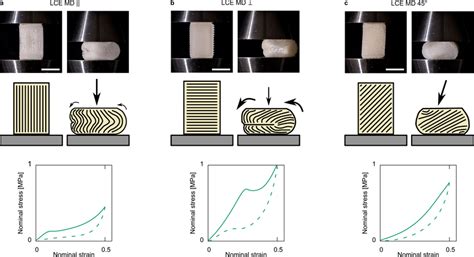 lce compression test|Soft elasticity optimises dissipation in 3D.